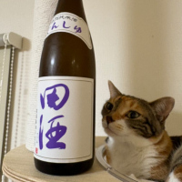 田酒