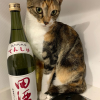 青森県の酒
