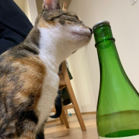 佐賀県の酒