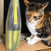 
            高千代_
            酒人さん