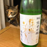 東洋美人
