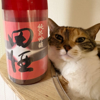 田酒
