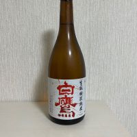 白鷹