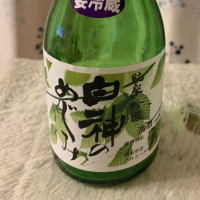 山本