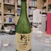 
            やまと桜_
            オゼミさん