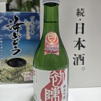 初陣