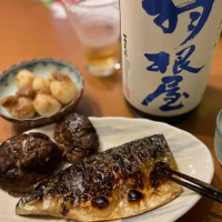 富山県の酒