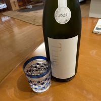 総乃寒菊
