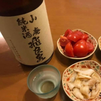 飛良泉
