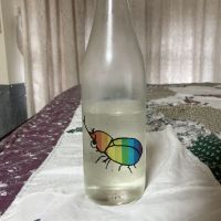 仙禽