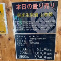 亀の世のレビュー by_しましま