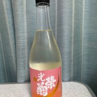 光栄菊