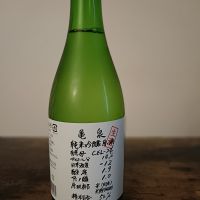亀泉