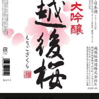 
            越後桜_
            k_swj_さん