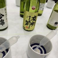 
            夜明け前_
            k_swj_さん
