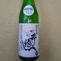 臥龍梅
