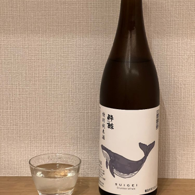 高知県の酒