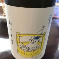 
            山川光男_
            いらこさん