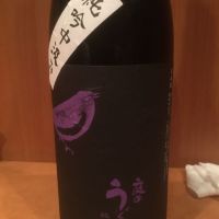 
            庭のうぐいす_
            いらこさん