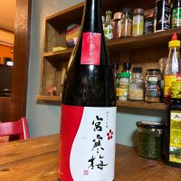 
            宮寒梅_
            gucyさん
