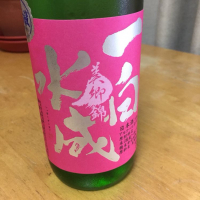 一白水成