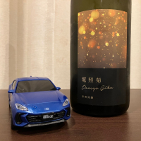 電照菊