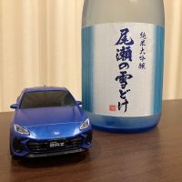 尾瀬の雪どけ