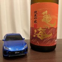 亀の海