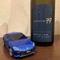 OCEAN99