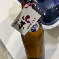 
            山本_
            野原ひろしの年齢で係長になれなかった男wさん