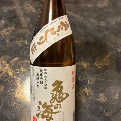 亀の海のレビュー by_泣尺岩魚