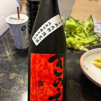 甲子のレビュー by_泣尺岩魚
