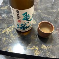 亀の海のレビュー by_泣尺岩魚