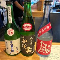 寒紅梅