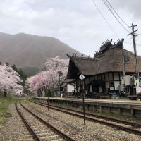 写楽（冩樂）のレビュー by_泣尺岩魚