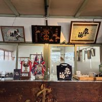 亀の海のレビュー by_泣尺岩魚