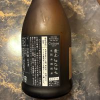 新政のレビュー by_泣尺岩魚