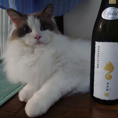 秋田県の酒