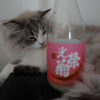 光栄菊