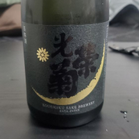 
            光栄菊_
            こーけつさん