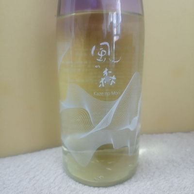 風の森のレビュー by_纯真丁一郎