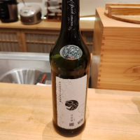 涅槃龜