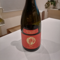 陽乃鳥のレビュー by_纯真丁一郎