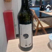 涅槃龜