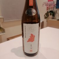 陽乃鳥のレビュー by_纯真丁一郎