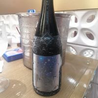 電照菊