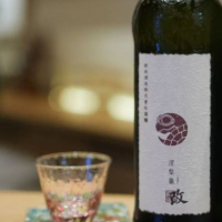 涅槃龜