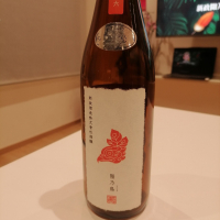 陽乃鳥のレビュー by_纯真丁一郎