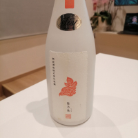 陽乃鳥のレビュー by_纯真丁一郎