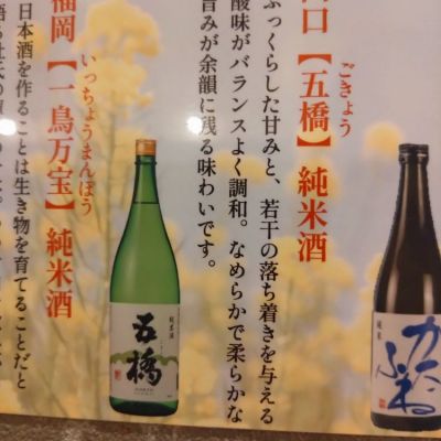 五橋のレビュー by_kyujim